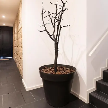 Luxury Oasis In Bonfim By Lovelystay Apartament Porto