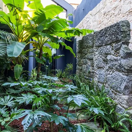 Luxury Oasis In Bonfim By Lovelystay Lägenhet Oporto